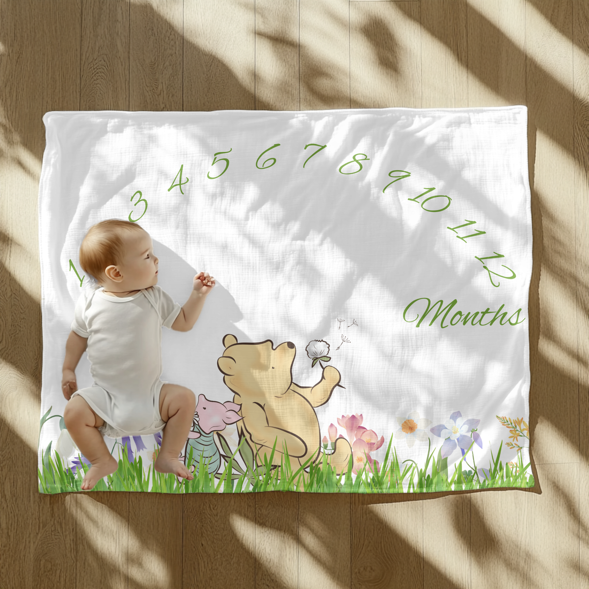 Winne The Pooh Milestone Velveteen Plush Blanket