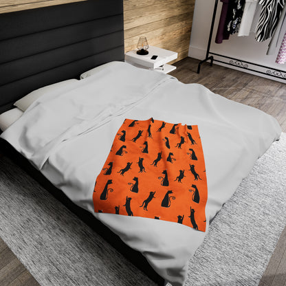 Black Cats on Orange Blanket