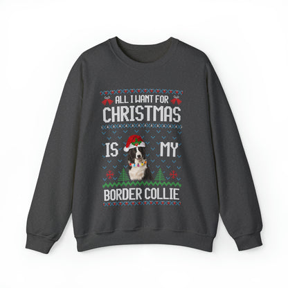 All I Want For Christmas is My Border Collie Dog Ugly Sweater Sweatshirt