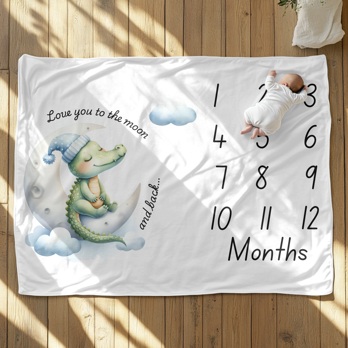Love You To The Moon And Back Milestone Velveteen Plush Blanket