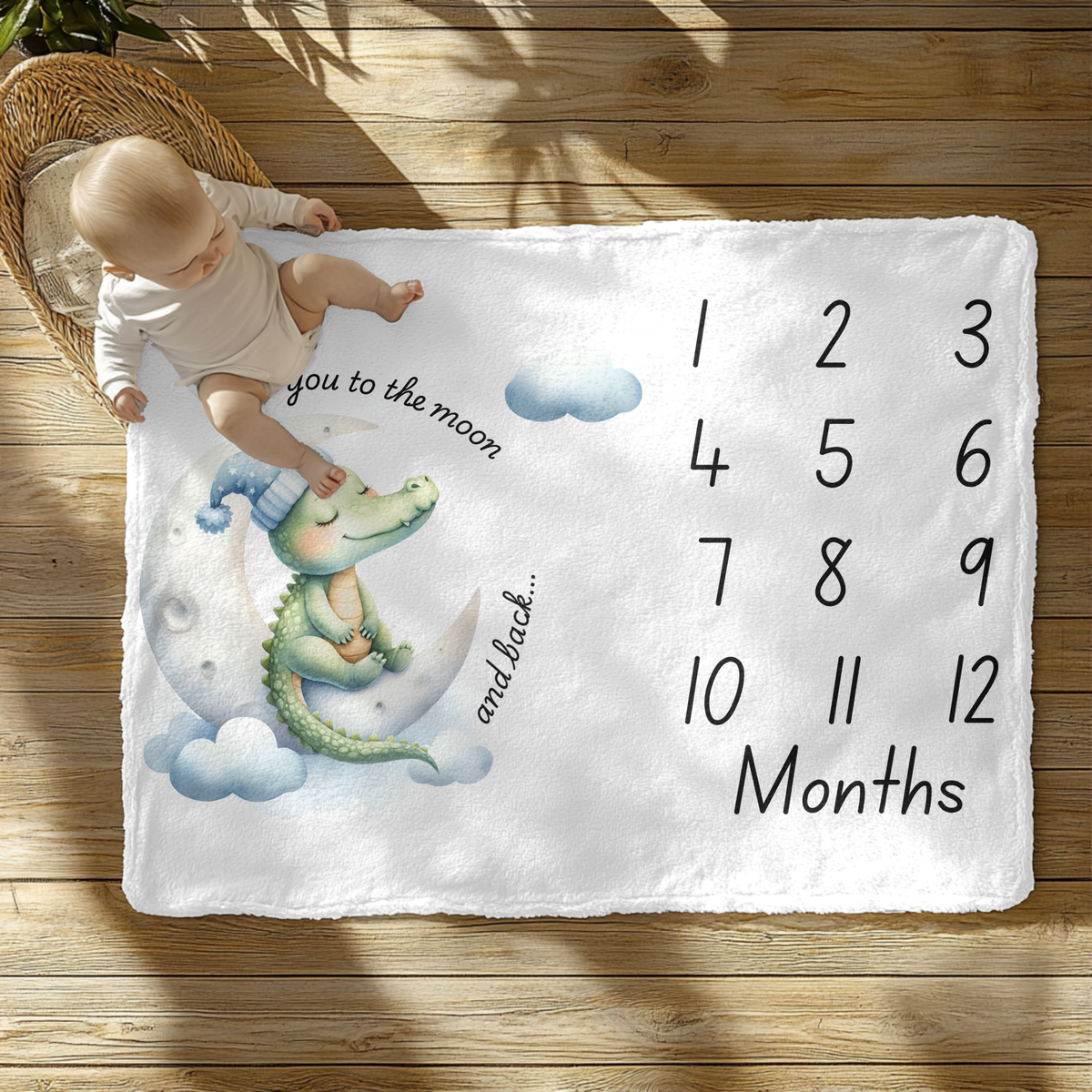 Love You To The Moon And Back Milestone Velveteen Plush Blanket