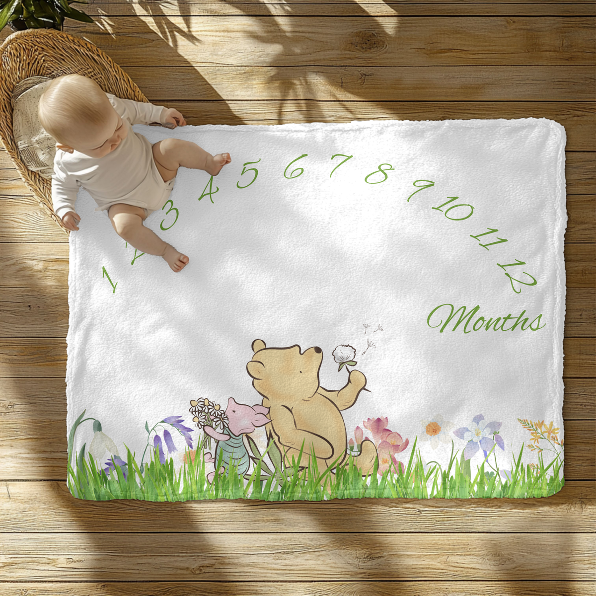 Winne The Pooh Milestone Velveteen Plush Blanket