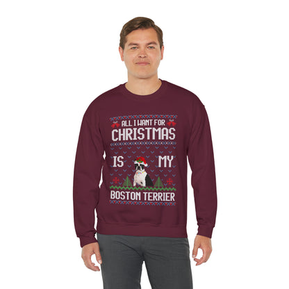All I Want For Christmas is My Boston Terrier Dog Ugly Sweater Sweatshirt