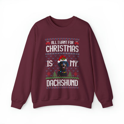 All I Want For Christmas is My Dachshund Dog Ugly Sweater Sweatshirt