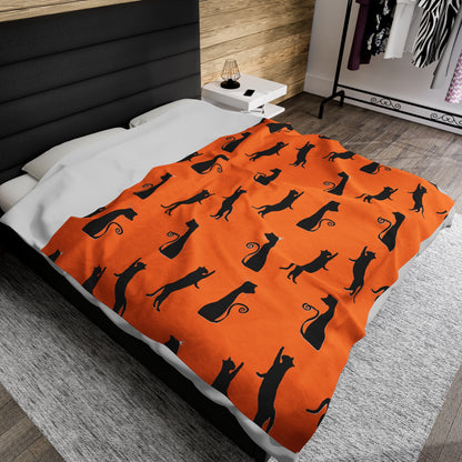 Black Cats on Orange Blanket