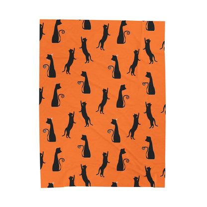 Black Cats on Orange Blanket