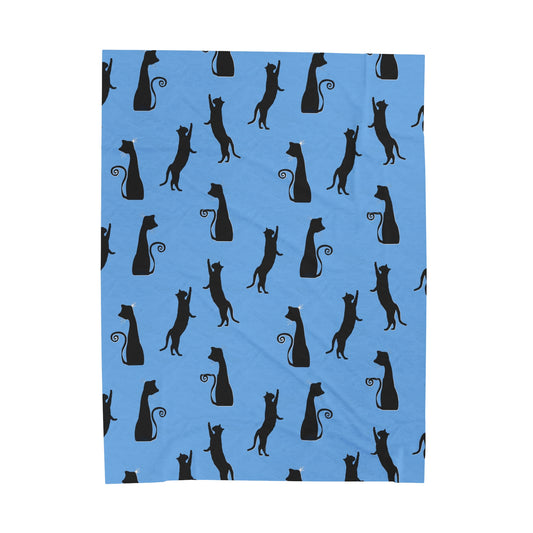 Black Cats on Blue Blanket