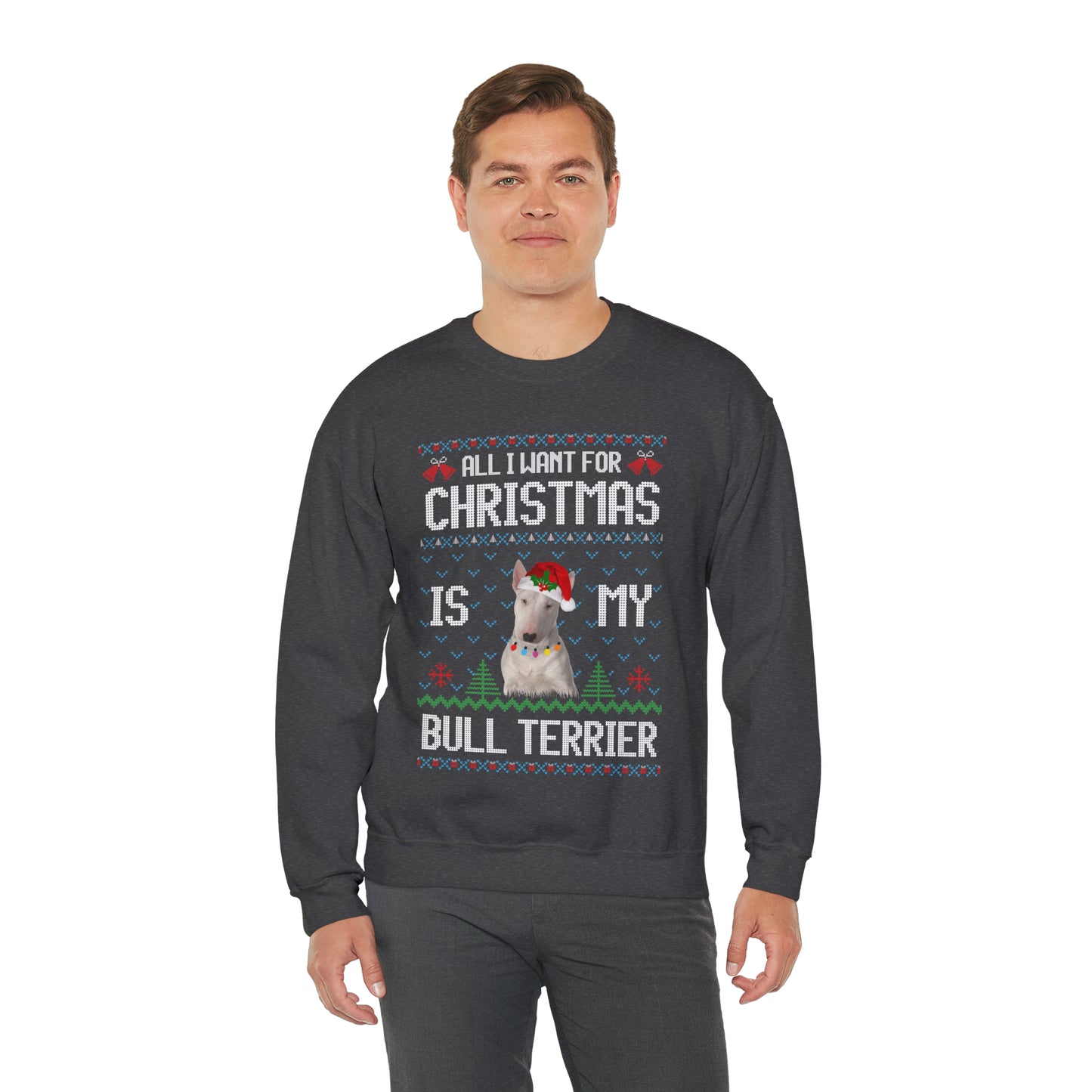 All I Want For Christmas is My Bull Terrier Dog Ugly Sweater Sweatshirt