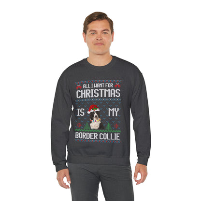 All I Want For Christmas is My Border Collie Dog Ugly Sweater Sweatshirt