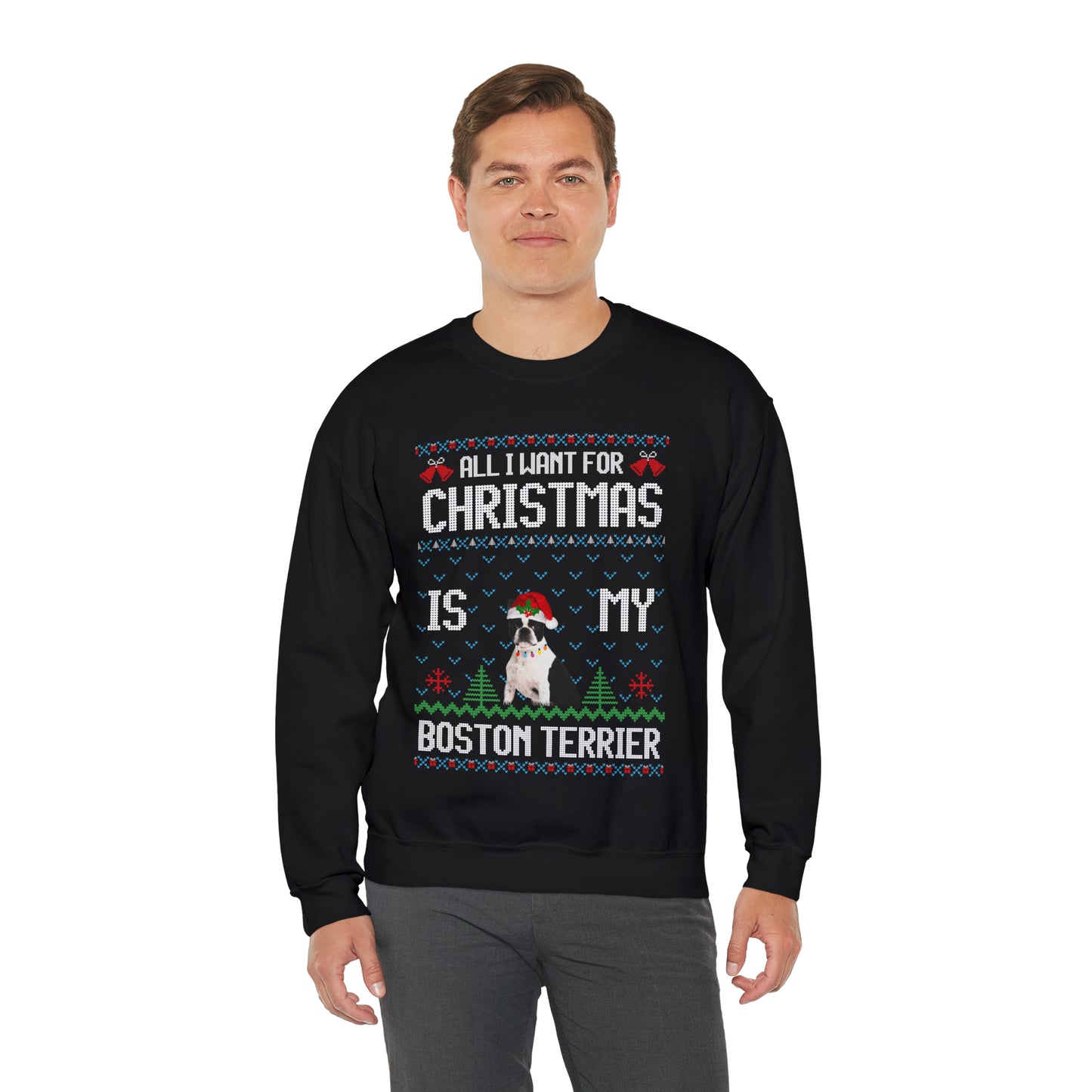All I Want For Christmas is My Boston Terrier Dog Ugly Sweater Sweatshirt