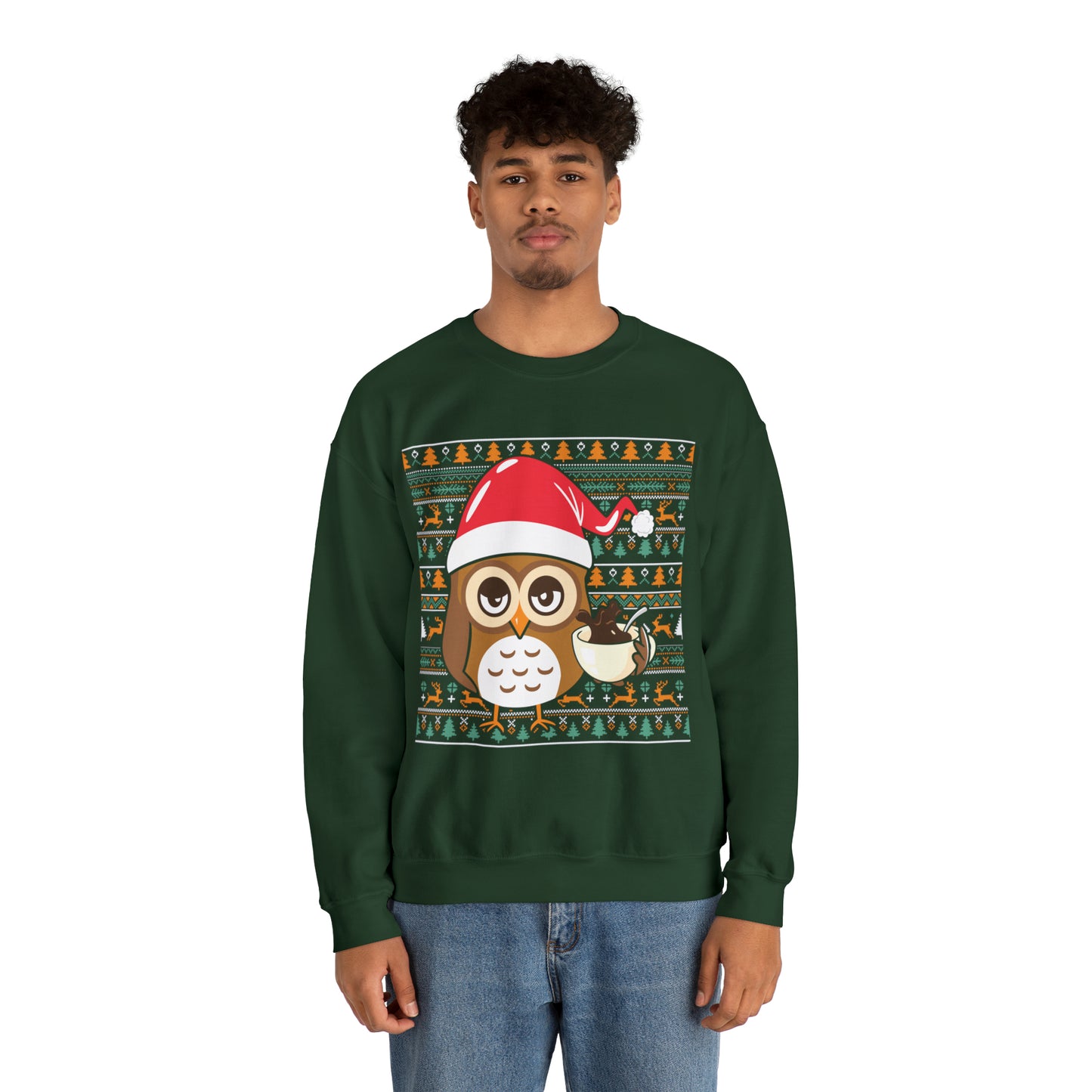 Owl in Santa Hat Ugly Christmas Sweater Sweatshirt