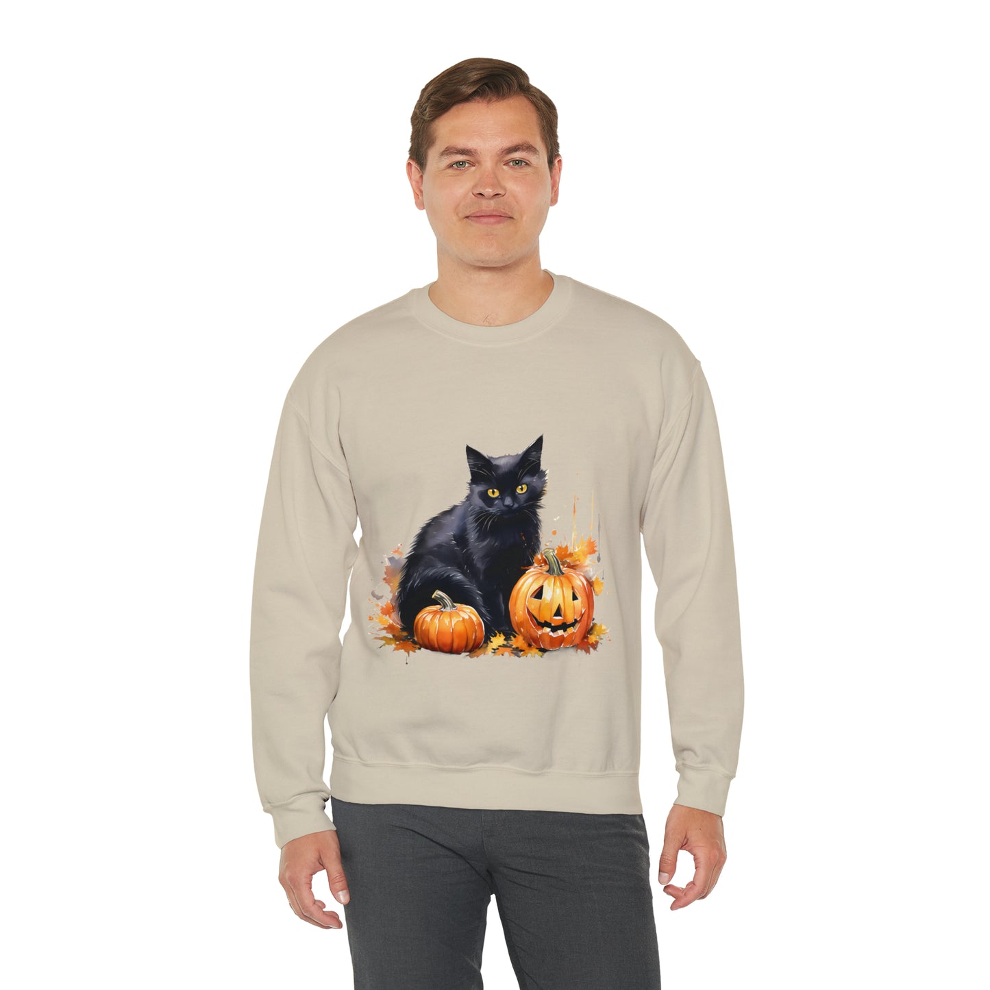 Black Cat with Pumpkin Halloween Sweatshirt