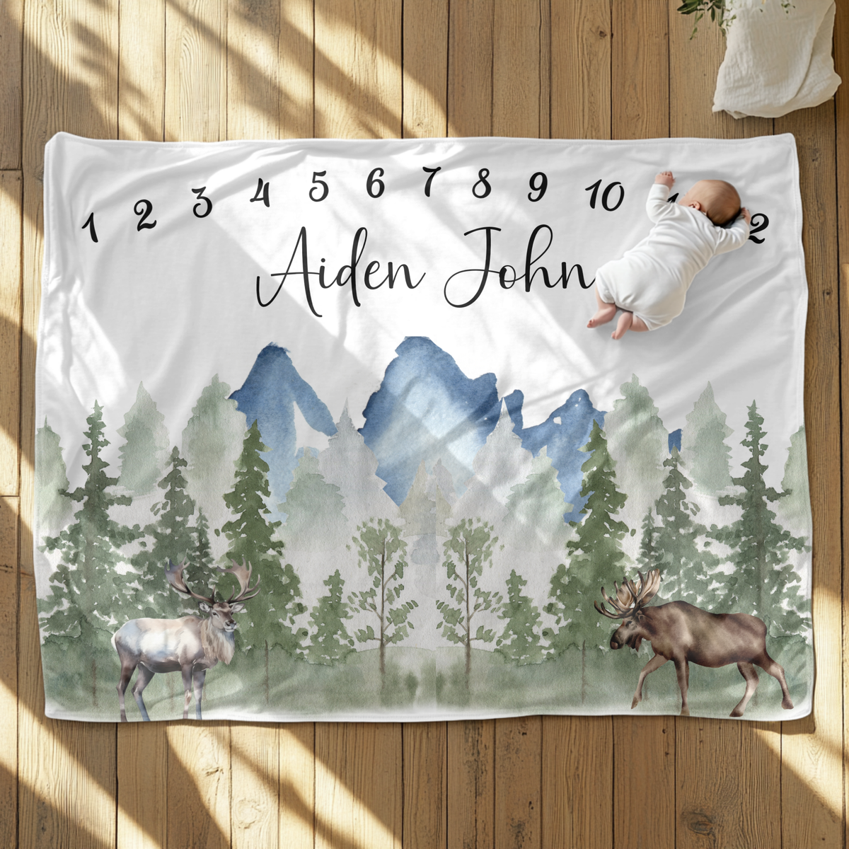 Mountain Wildlife Moose Milestone Velveteen Plush Blanket