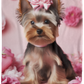 Yorkshire Terrier Yorkie Pink Flowers Plush