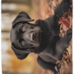 Black Labrador Retriever Plush Fleece Blanket