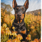 Doberman Cropped Ears Plush Fleece Blanket