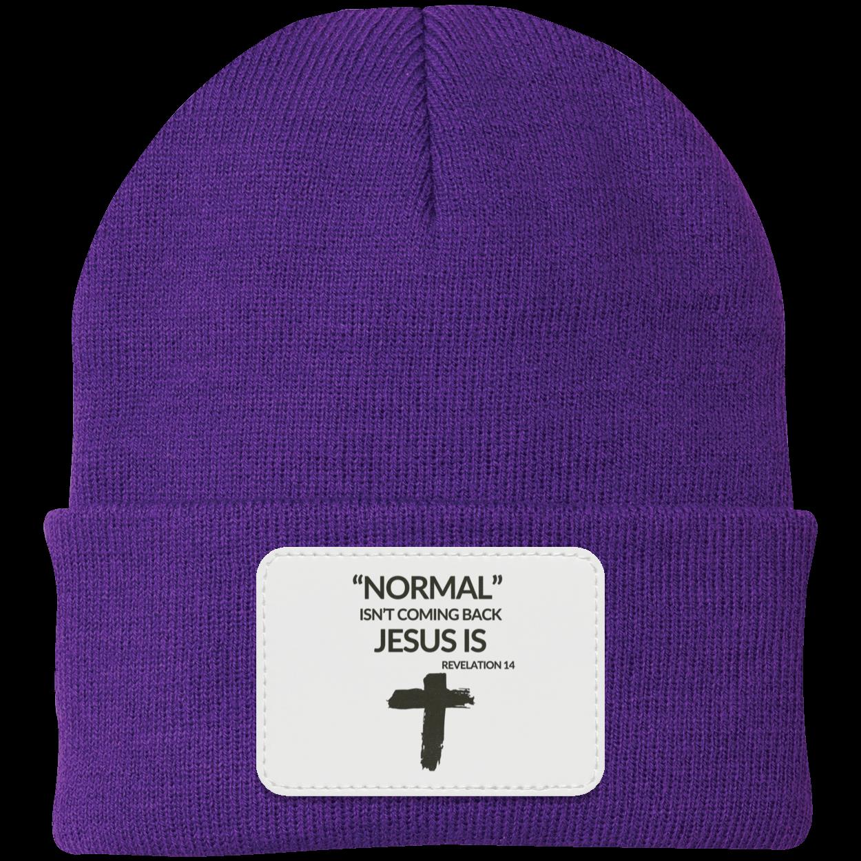 Normal Isn't Coming Back Jesus Is Beanie Knit Cap