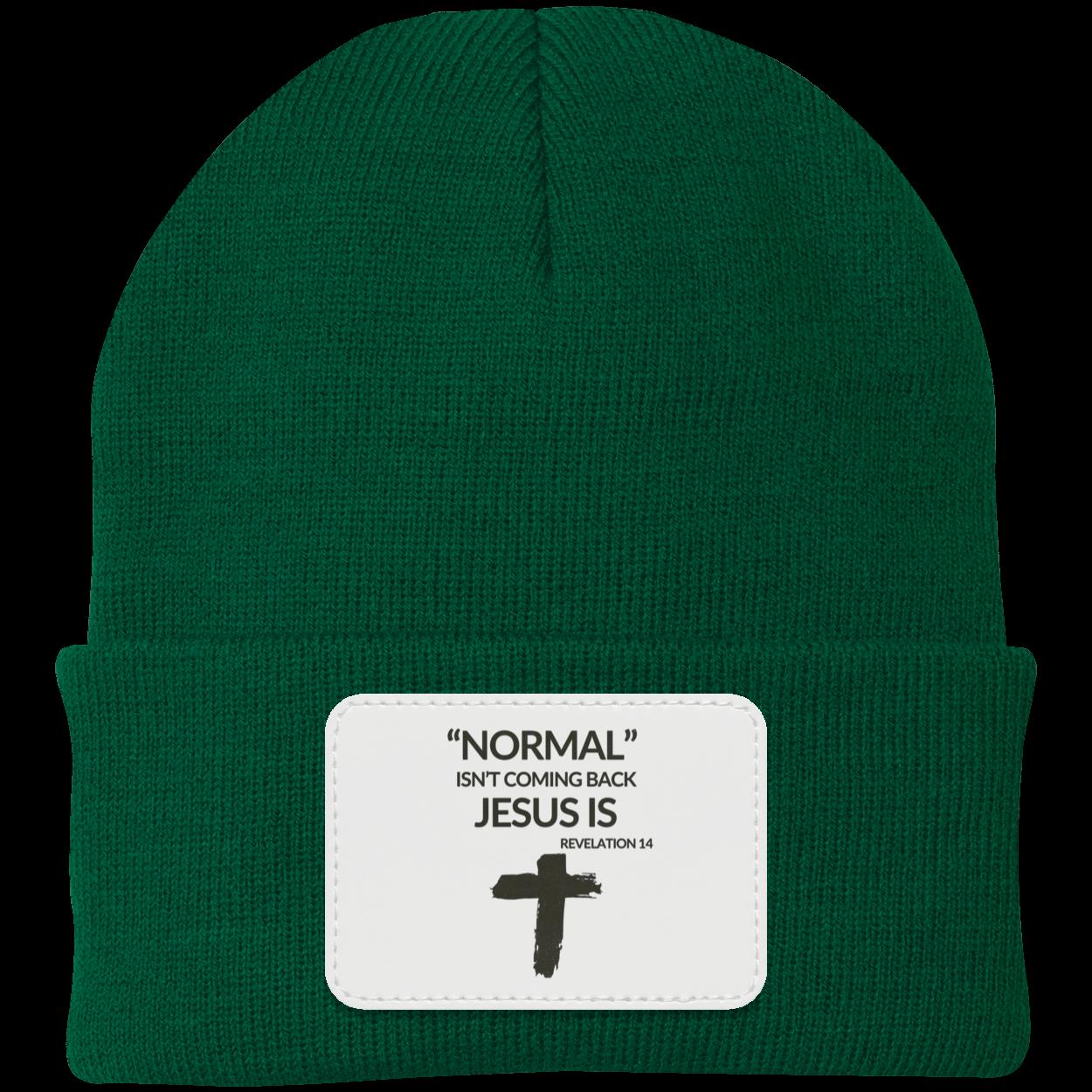 Normal Isn't Coming Back Jesus Is Beanie Knit Cap