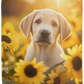 Yellow Labrador Puppy in Field of Sunflowers Plush Fleece Blanket