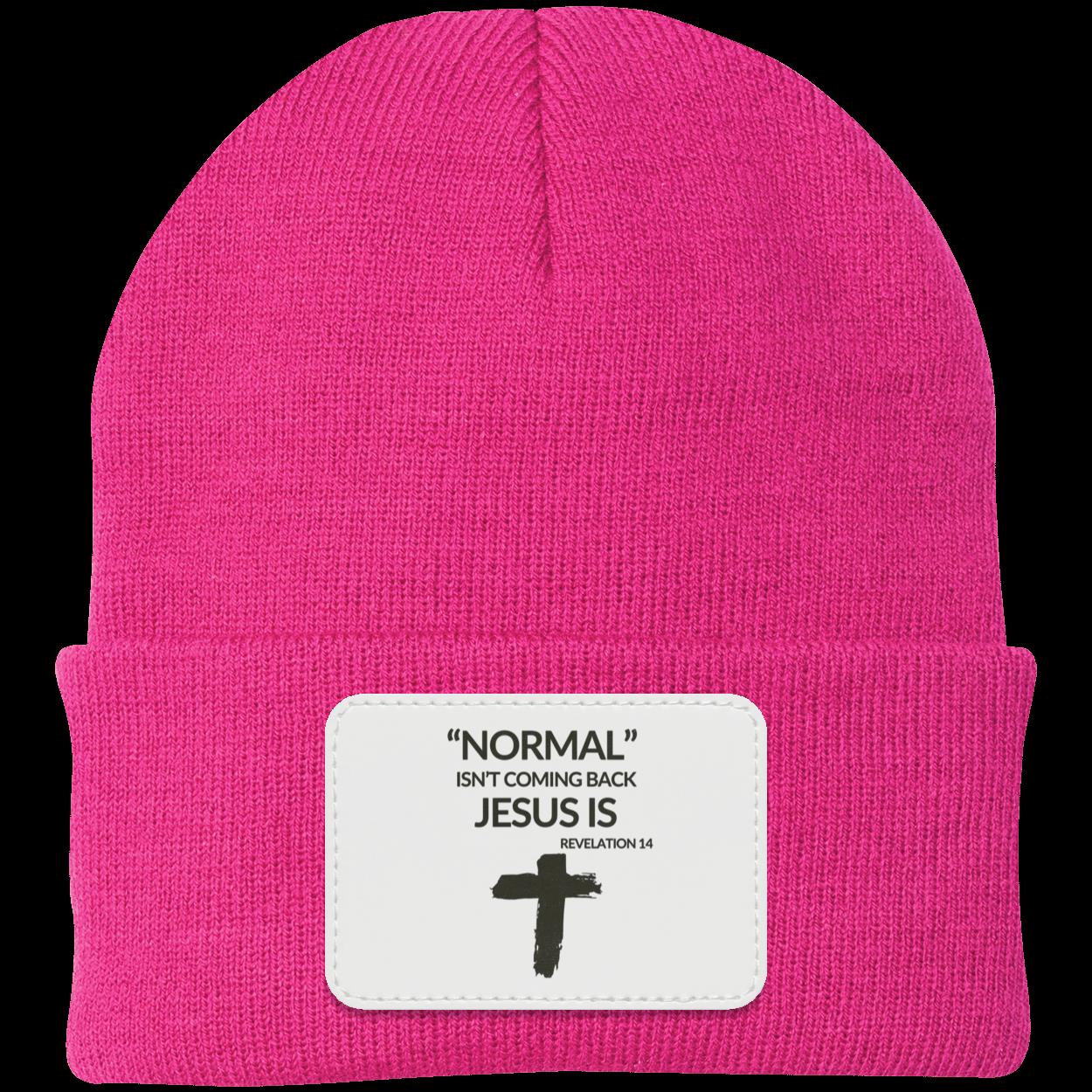 Normal Isn't Coming Back Jesus Is Beanie Knit Cap