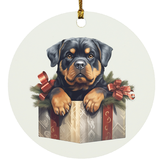 Rottweiler in Box 2 Circle Christmas Ornament