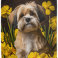 Lhasa Apso Plush Fleece Blanket