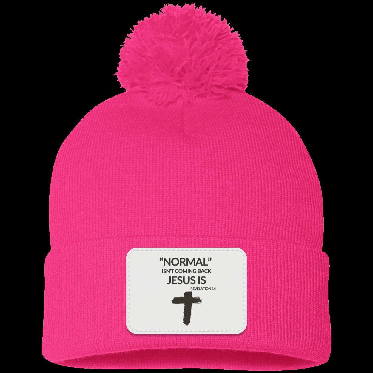 Normal Isn't Coming Back Jesus Is Beanie Knit Cap